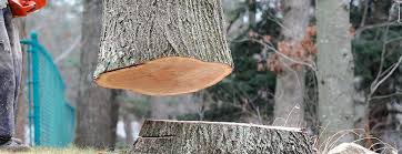 Best Firewood Processing and Delivery  in Montour Falls, NY